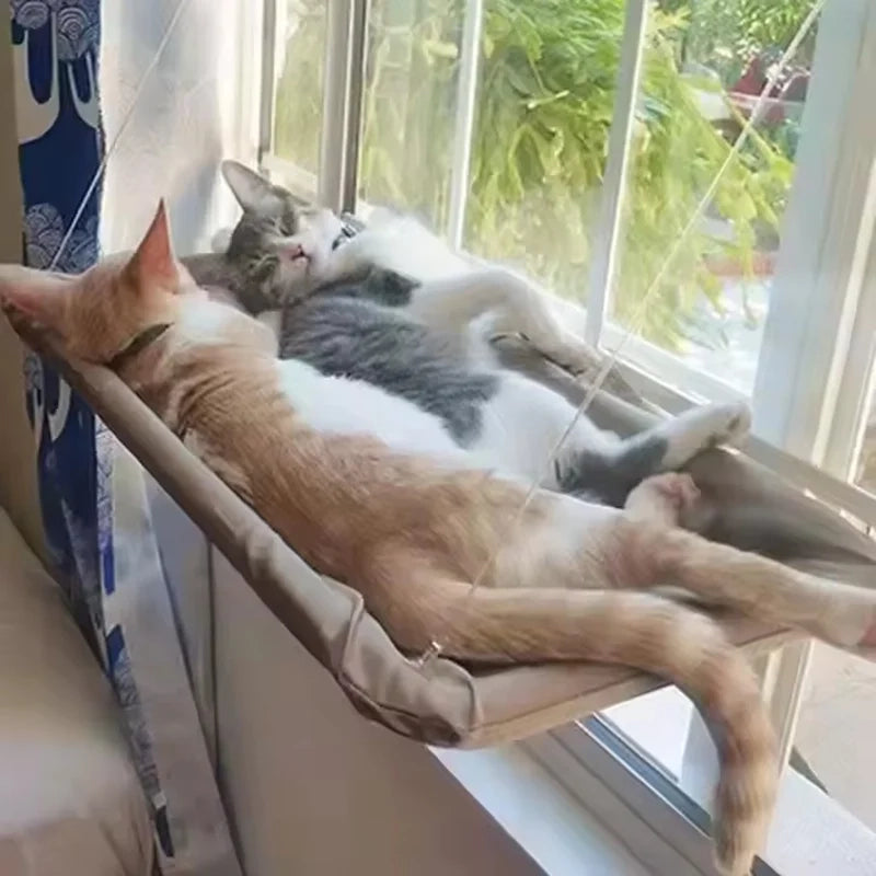 Hamac de Fenêtre Suspendu pour Chat
