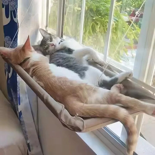 Hamac de Fenêtre Suspendu pour Chat