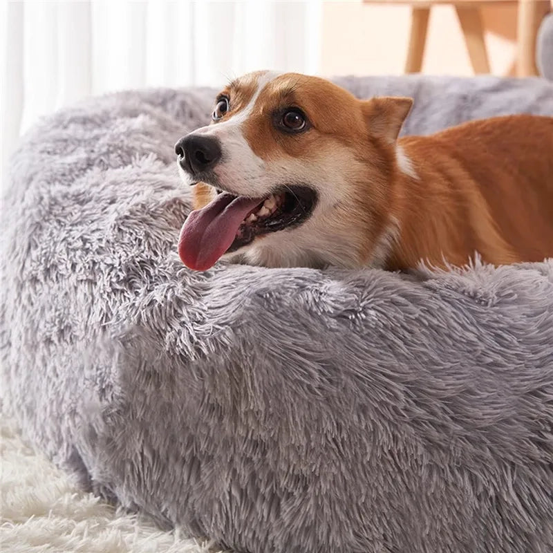 Lit Moelleux Apaisant pour Chien et Chat