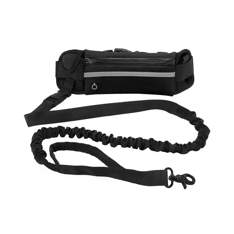 Laisse pour Chien Mains Libres