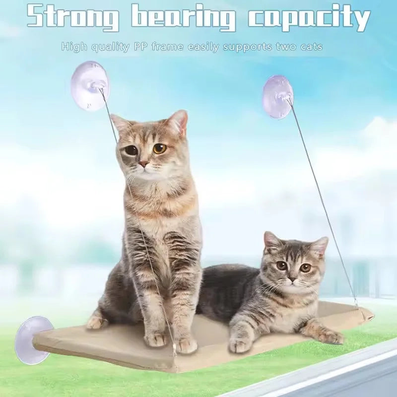 Hamac de Fenêtre Suspendu pour Chat