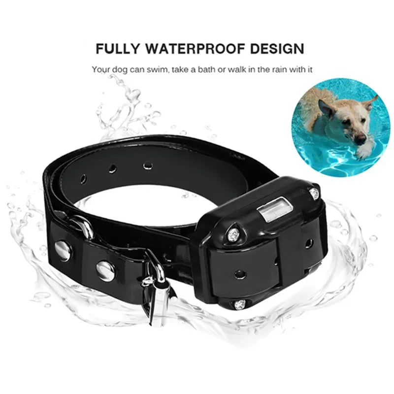 Collier de Dressage Étanche à Télécommande