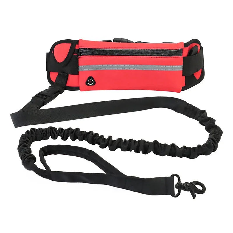 Laisse pour Chien Mains Libres
